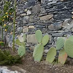 Casa Limoni Terrace Garden Prázdninový dům