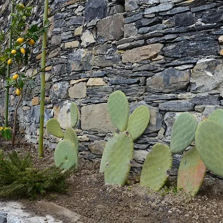 Casa Limoni Terrace Garden Hébergement de vacances